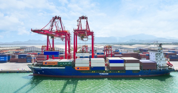 THILOGI tăng tần suất tuyến vận tải biển nội địa