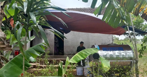 Vào rừng hái cây thuốc, người phụ nữ bị rắn độc cắn tử vong