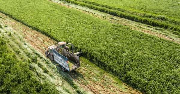 Vinamilk khẳng định vị thế thương hiệu sữa Việt