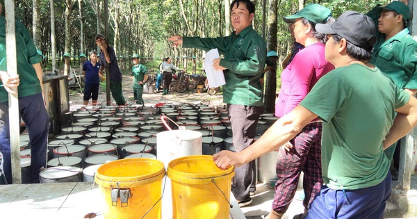 Lan tỏa tinh thần cần cù, tận tụy