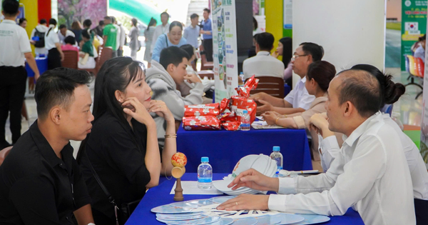 Cơ hội việc làm lương cao