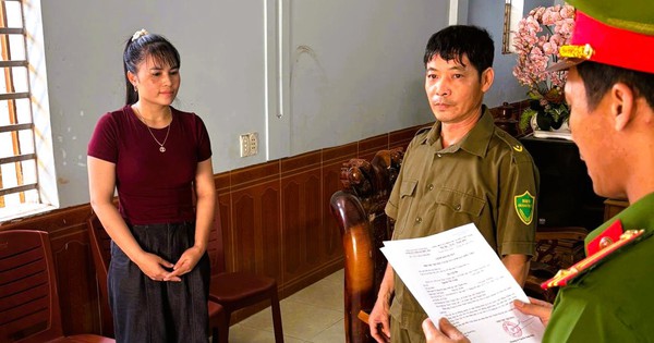 Khởi tố người phụ nữ câu kết mua heo dịch về giết mổ bán kiếm lời