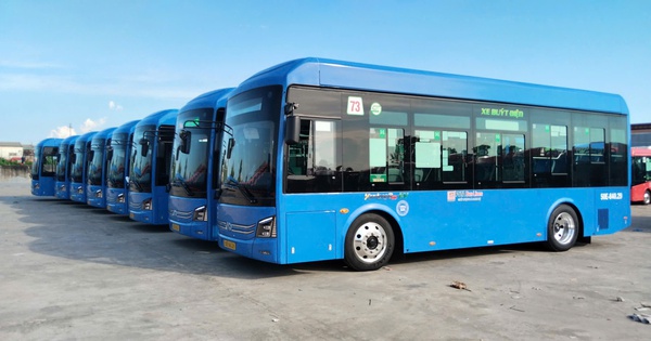 TPHCM thay mới xe buýt trên 3 tuyến từ cuối tháng 6