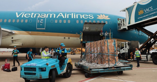 Sếu đầu đỏ "bay" từ Thái Lan về Việt Nam bằng Boeing 787