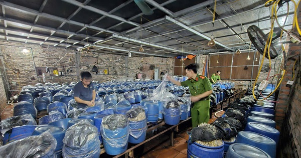 Phát hiện 3 cơ sở dùng hóa chất 6-BAP sản xuất gần 1.000 tấn giá đỗ