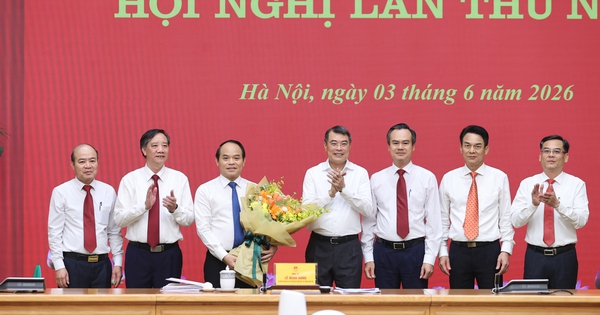 Ông Nguyễn Quốc Đoàn làm Chủ nhiệm Ủy ban Kiểm tra Đảng ủy Chính phủ