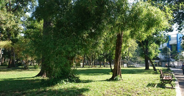 Cuộc thi "Tôi yêu thành phố của tôi": Từ Shinano nhớ về thành phố mang tên Người