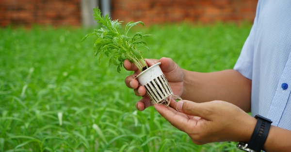 "Đánh thức" đất bỏ hoang bằng nông nghiệp số