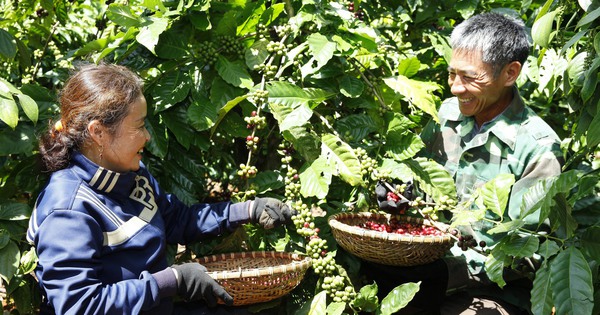Nestlé Việt Nam: Từ nhà đầu tư dài hạn đến đối tác đồng hành cùng mục tiêu phát triển quốc gia