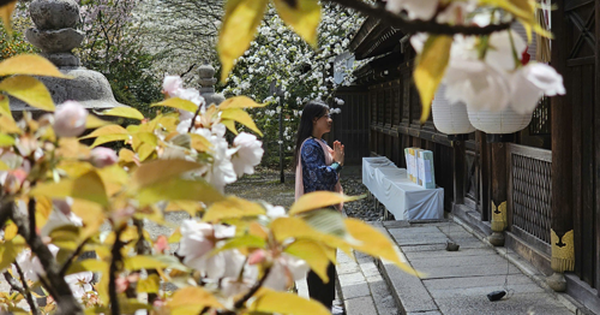 Giữa Kyoto, như nghe thời gian thở