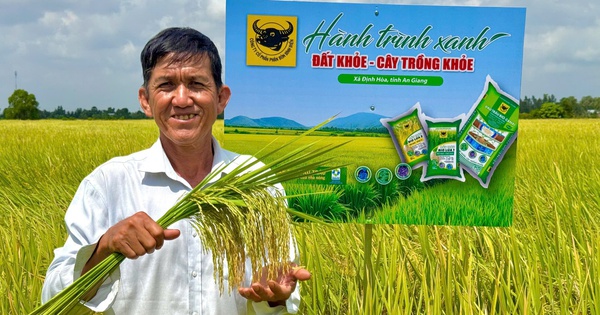Đất khỏe hôm nay, mùa vàng ngày mai