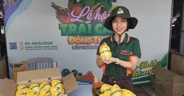 Bản đồ Việt Nam được làm từ đặc sản của Đồng Tháp