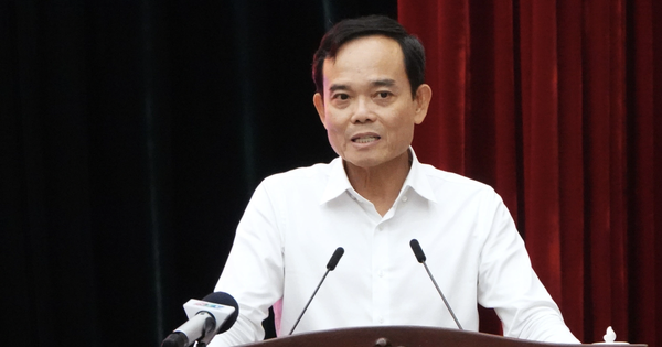 TPHCM sẽ có cơ chế tuyển dụng người giỏi