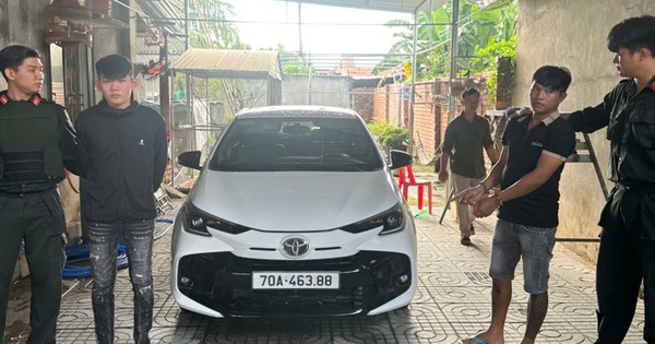 Tạm giữ 9 nghi phạm trong chuyên án trộm chó quy mô lớn ở Tây Ninh
