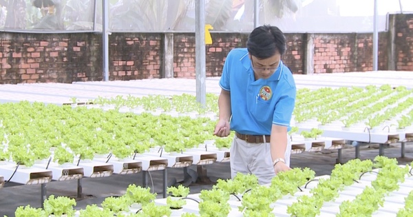Vườn rau 4.0 của nông dân thời số