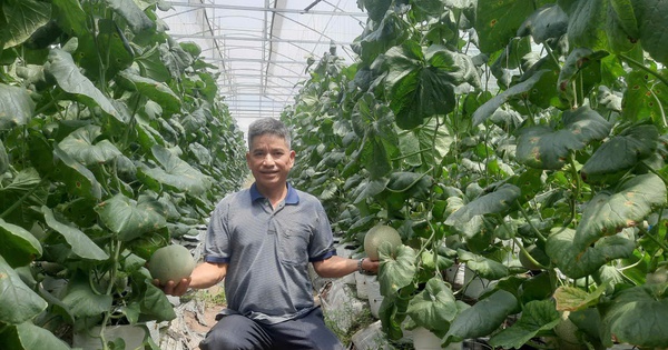 Đưa sản phẩm sạch, an toàn đến người tiêu dùng
