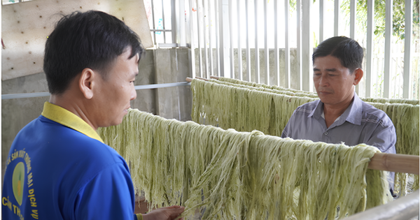 ĐBSCL tăng tốc chuyển đổi xanh