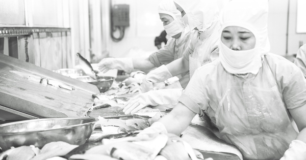 Báo in ngày 8-6: Tổ chức kỳ thi tốt nghiệp THPT an toàn, nghiêm túc