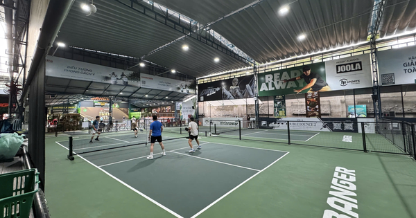 Giải Pickleball Báo Người Lao Động năm 2026: Chốt danh sách 