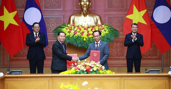 Hợp tác giáo dục là trụ cột quan trọng trong quan hệ đặc biệ