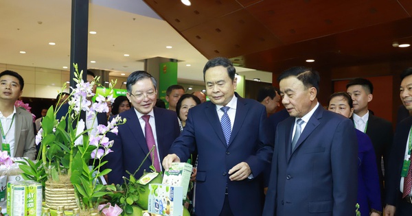 Đại hội Hội Nông dân Việt Nam lần thứ IX: Đổi mới mạnh mẽ, n