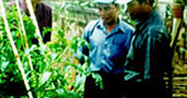 Công đoàn Viện Khoa học Kỹ thuật Nông nghiệp Miền Nam: Giúp nông dân làm giàu