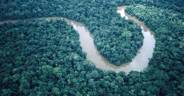 Phát hiện sông ngầm sâu 4.000 m dưới sông Amazon