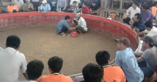 QQ288 - Bí Quyết Bất Ngờ Để Chiến Thắng Trong Trò Chơi Đầy Thách Thức Này