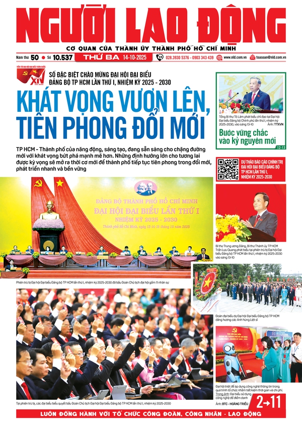 Số báo 10537