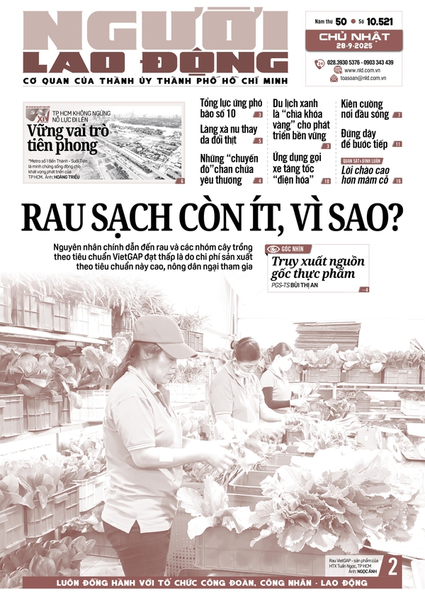 Số báo 10521