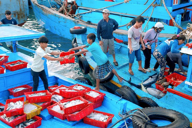 Có các gian hàng bán hải sản sạch tại chợ hải sản đảo Phú Quý không?

