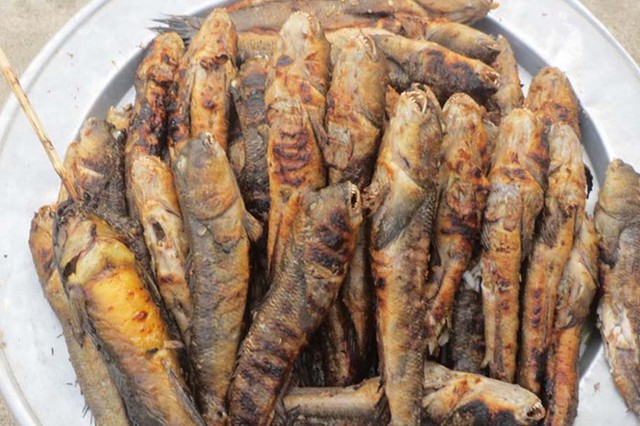 Về Cà Mau ăn cá thòi lòi | Thị trường NLD