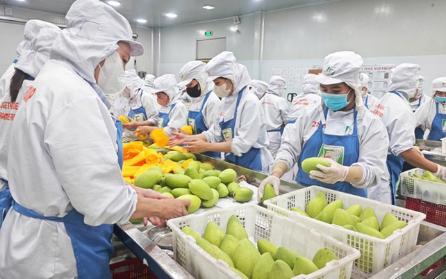 Thuế quan Mỹ tái định hình chuỗi thương mại toàn cầu