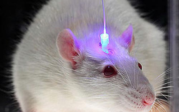 D&ugrave;ng &aacute;nh s&aacute;ng ngắt cơn đau