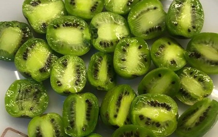 Tận Dụng Cơ Hội Tuyệt Vời với https//gi8.kiwi/