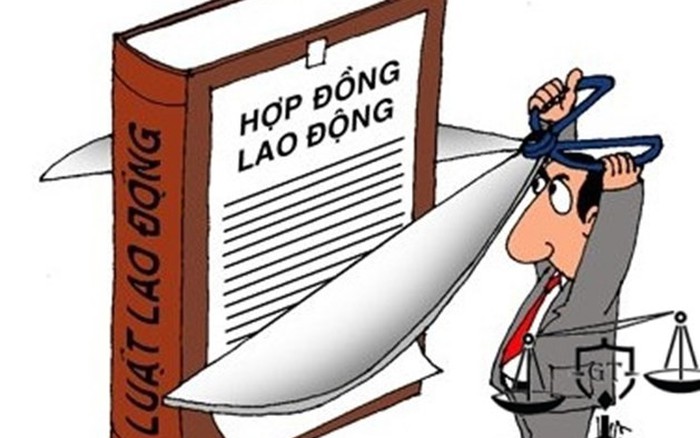 Quy định về sa thải lao động