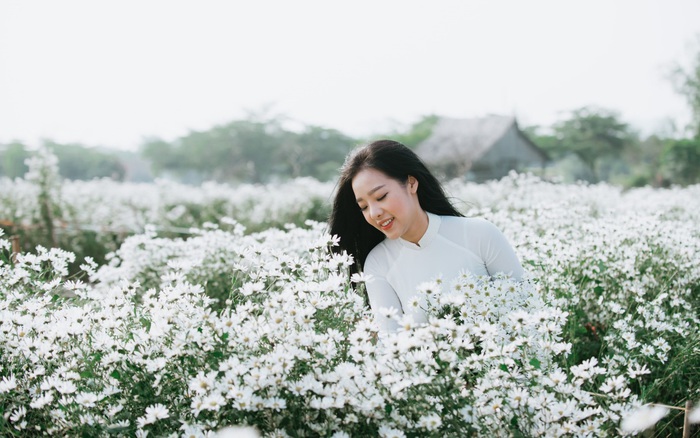 Những cánh hoa trắng của cúc họa mi sẽ khoe sắc hơn khi đến mùa thu Hà Nội. Hãy xem bức ảnh cúc họa mi giữa mùa thu của thành phố cổ, bạn sẽ tận hưởng không gian yên bình và lãng mạn của Hà Nội.