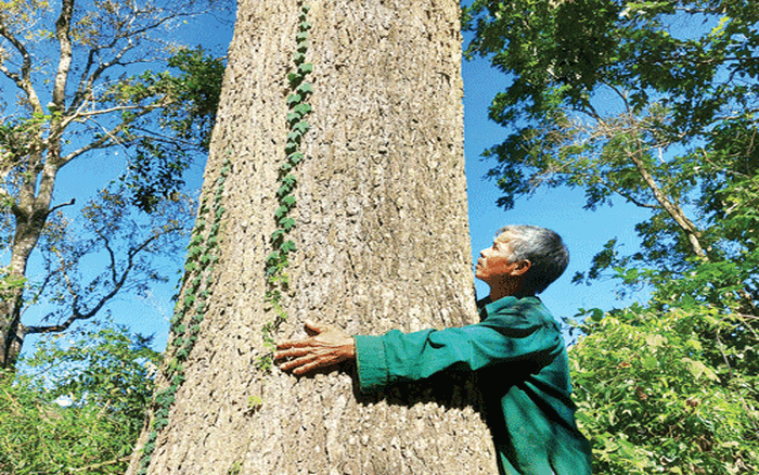 Alt value for image 28