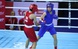 SEA Games 33 ngày 19-12: Boxing Việt có HCV