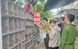 Tạm giữ gần 1.000 cá thể chim hoang dã tại 3 cửa hàng chim cảnh