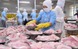 Xuất khẩu tiếp tục bứt phá
