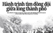 Báo in ngày 9-6: Hành trình tìm đồng đội giữa lòng thành phố