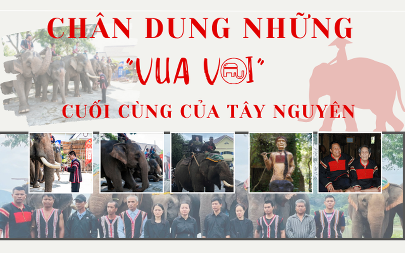 Chân dung những "vua voi" cuối cùng của Tây Nguyên