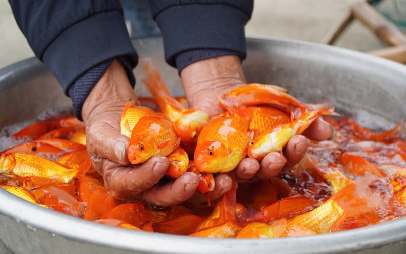 Thu cả trăm triệu từ nghề bán phương tiện “ông Công, ông Táo” về trời